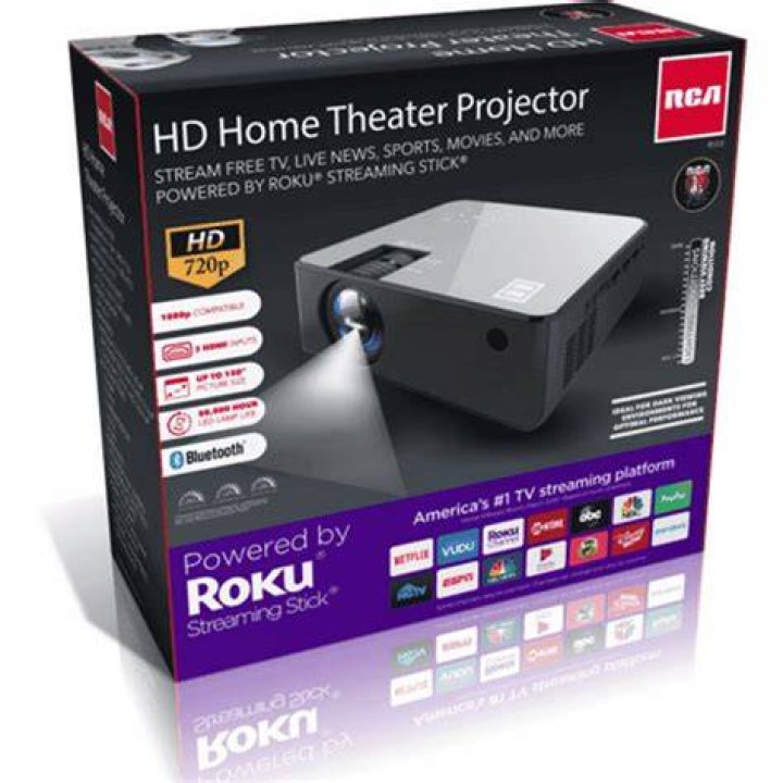 Can you connect Roku to RCA projector?