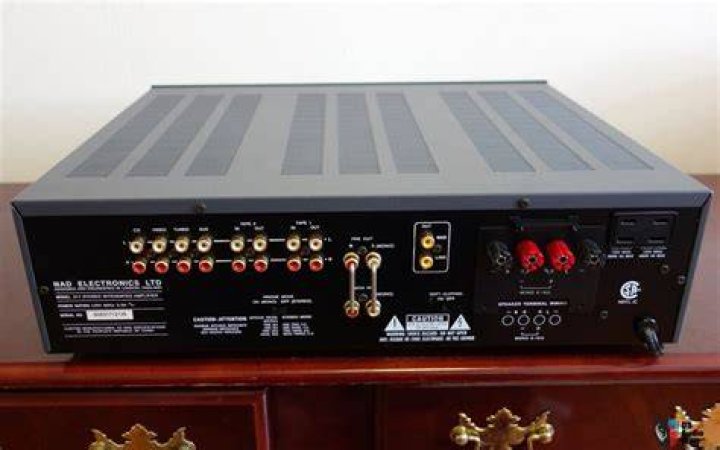 How many lines does a NAD 317 integrated amplifier have?
