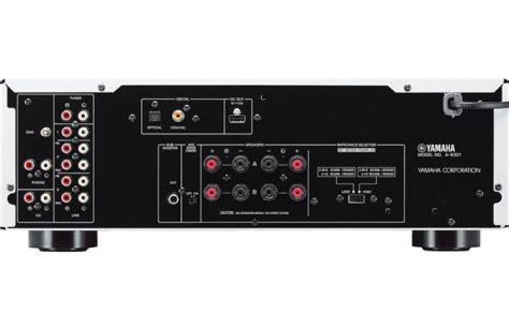 What kind of input does Yamaha a-s301 have?