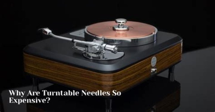 Why are turntable needles so expensive?