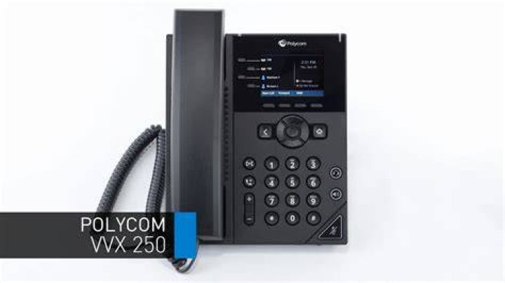 Why is there no network connection on my Polycom VVX 250?